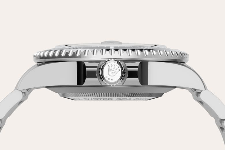 Ceramic Bezel and Luminescent Display
