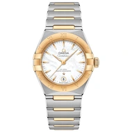 Omega Constellation Co-Axial Master Chronometer 29  - Model No. 131.20.29.20.05.002