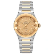 Omega Constellation Co-Axial Master Chronometer 29  - Model No. 131.20.29.20.08.001