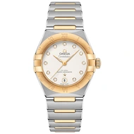 Omega Constellation Co-Axial Master Chronometer 29  - Model No. 131.20.29.20.52.002