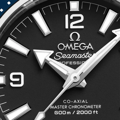 Omega Seamaster Planet Ocean 600M - Model No. 217.32.42.21.01.002