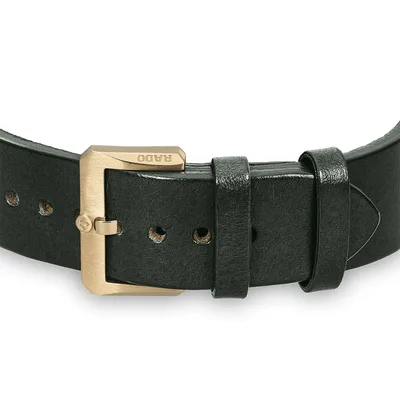 Rado Captain Cook Automatic Bronze - Model No. R32504315