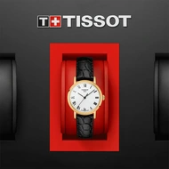 Tissot Tissot Everytime Small - Model No. T109.210.36.033.00
