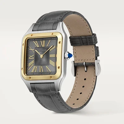 Cartier Santos Dumont Large - Model No. W2SA0028