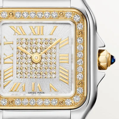 Cartier Panthere De Cartier - Model No. W3PN0012