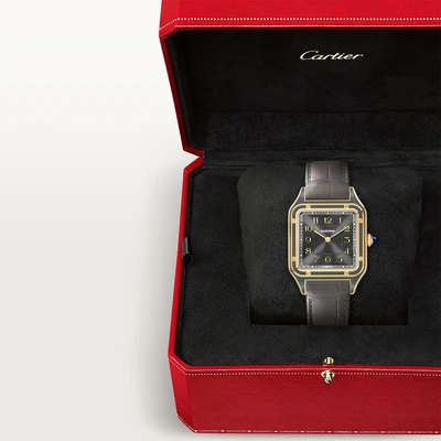 Cartier Santos Dumont Large - Model No. WGSA0097