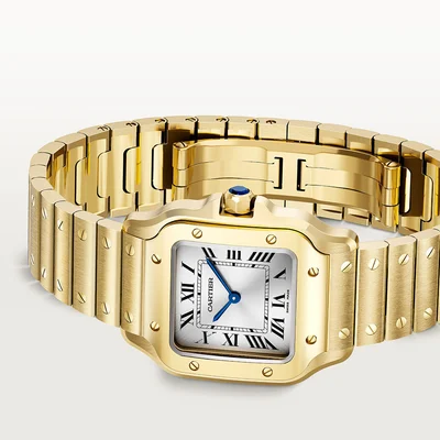 Cartier Santos De Cartier - Model No. WGSA0107
