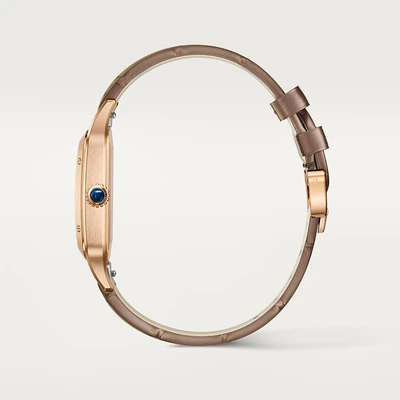 Cartier Santos Dumont XL - Model No. WGSA0112