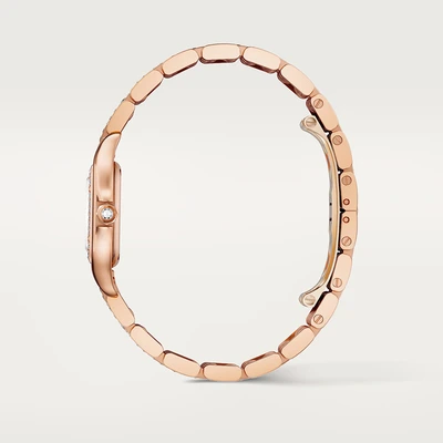 Cartier Panthere De Cartier - Model No. WJPN0061