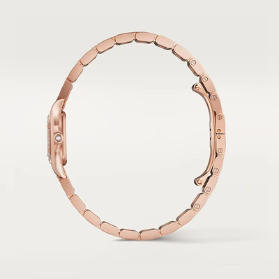 Cartier Panthere Mini - Model No. WJPN0063