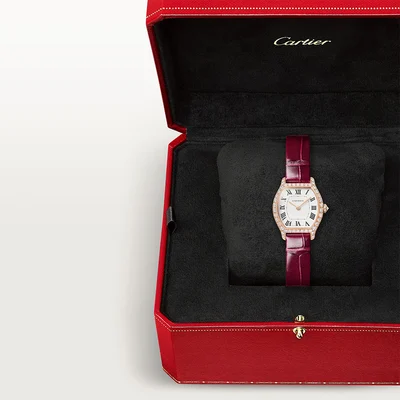 Cartier Tortue Mini - Model No. WJTO0011