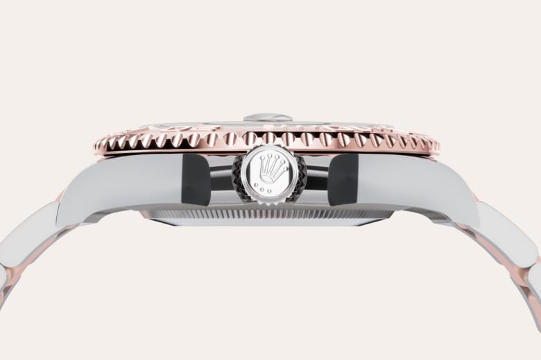 Bidirectional Rotatable Bezel