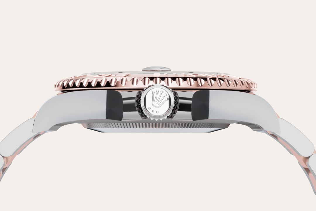 Bidirectional Rotatable Bezel