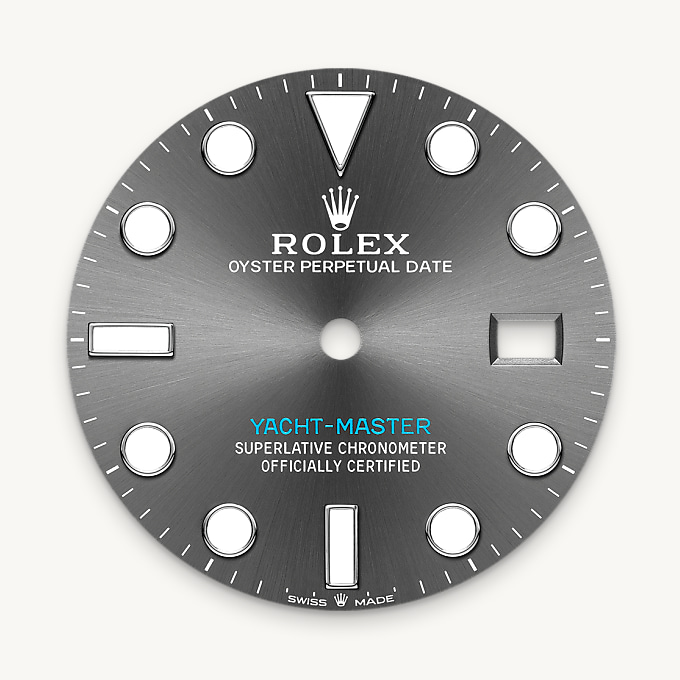 Bidirectional Rotatable Bezel