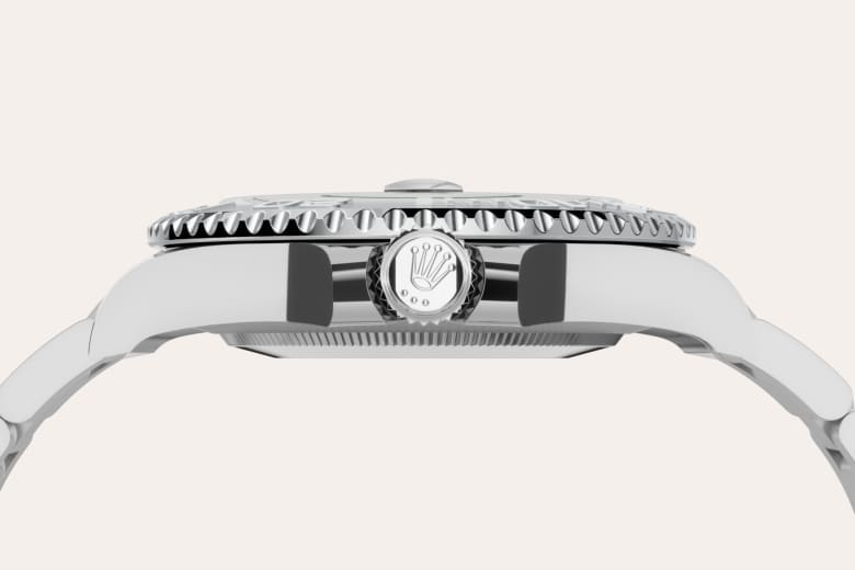 Bidirectional Rotatable Bezel