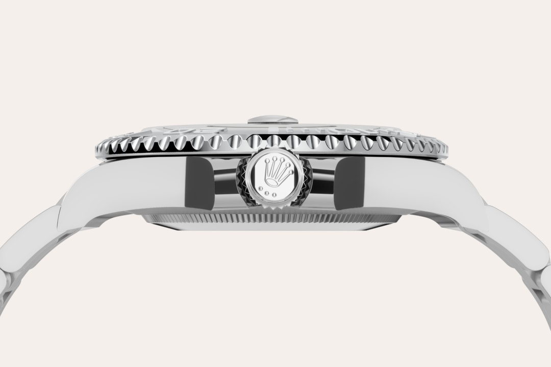 Bidirectional Rotatable Bezel