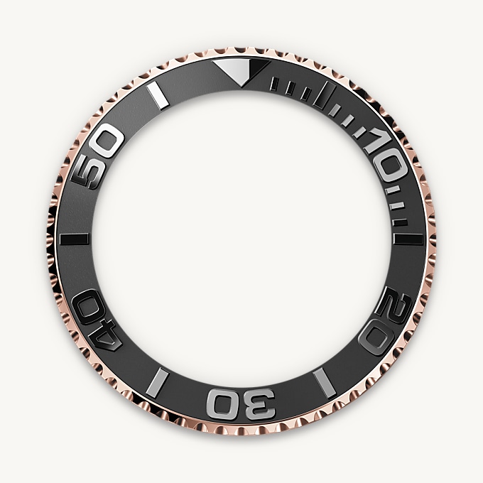 The Oysterflex Bracelet