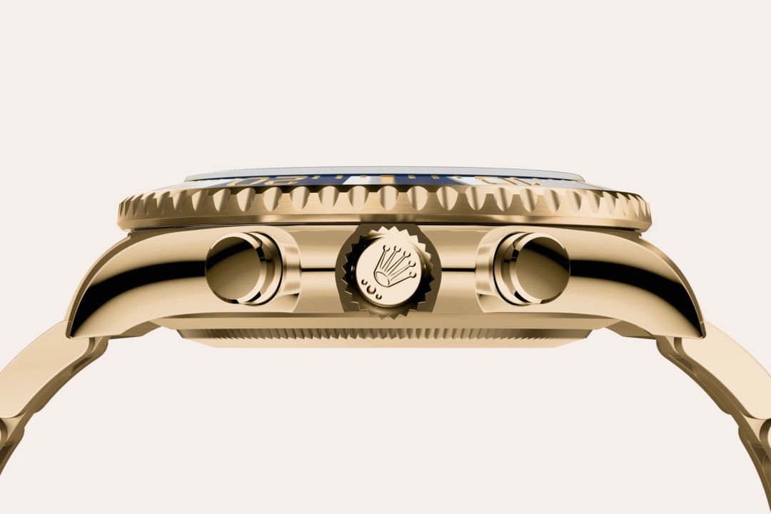 Cerachrom bezel insert