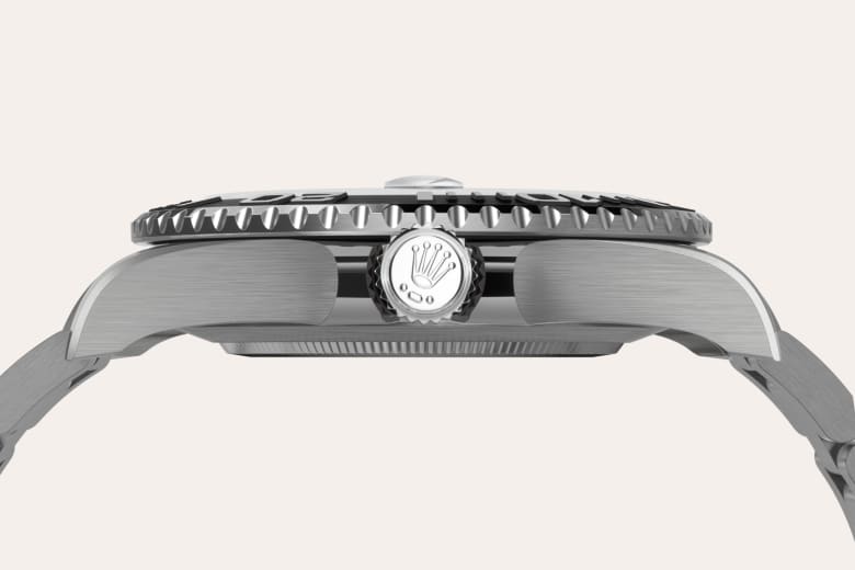 Bidirectional Rotatable Bezel