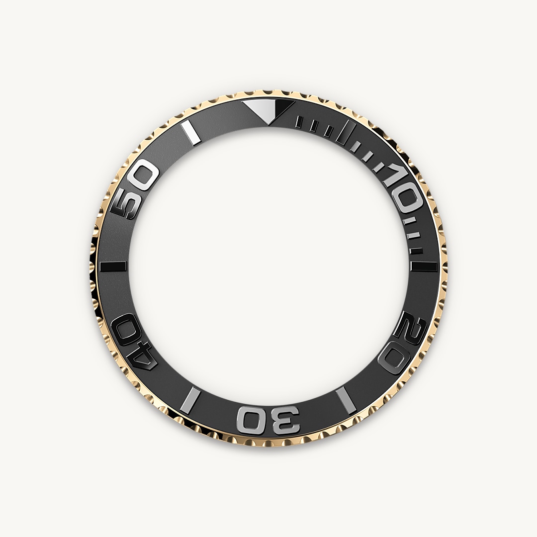 The Oysterflex Bracelet