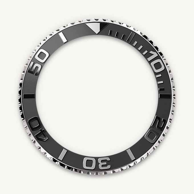 The Oysterflex Bracelet