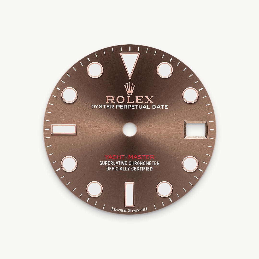 Bidirectional Rotatable Bezel