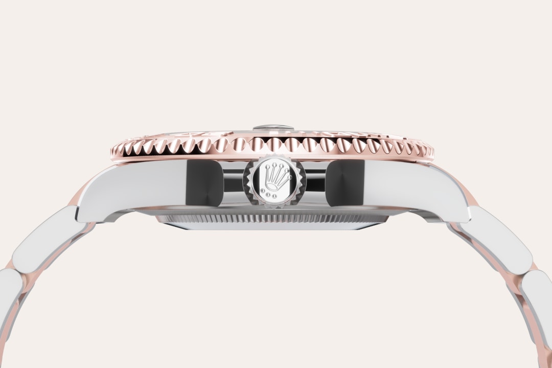 Bidirectional Rotatable Bezel