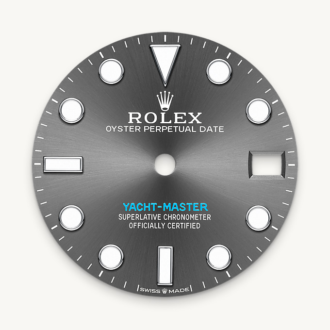 Bidirectional Rotatable Bezel