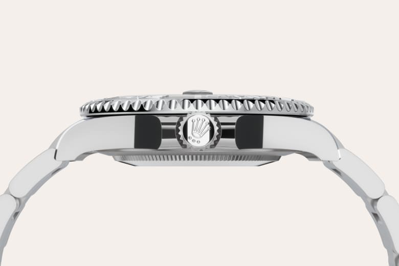 Bidirectional Rotatable Bezel
